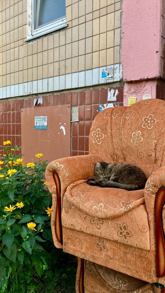 ФотоВинегрет