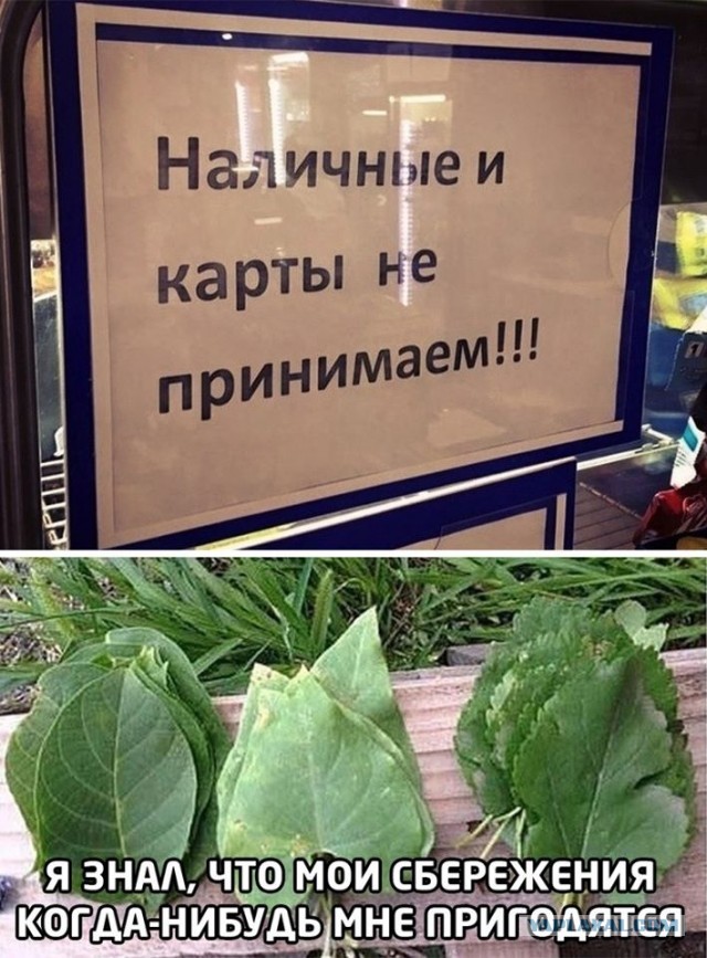 Всего понемногу. От 27.09.24