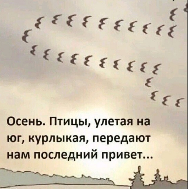 Картинки из интернетов