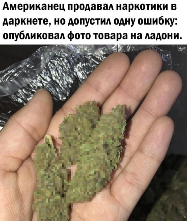 Так себе картинки 13.10.24