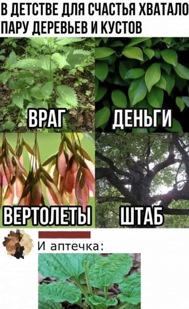 Так себе картинки 10.12.24
