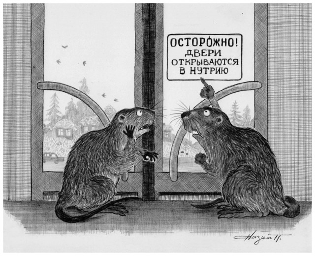 Деградильня