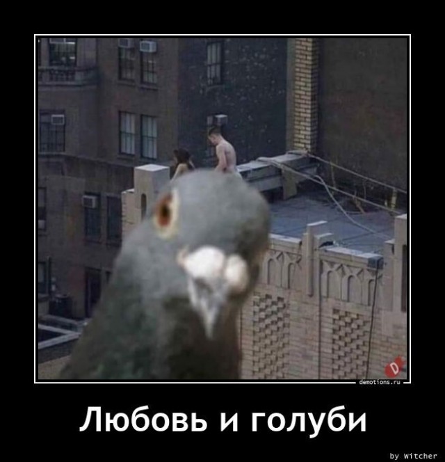 В парках Москвы появились кормушки с фейсконтролем