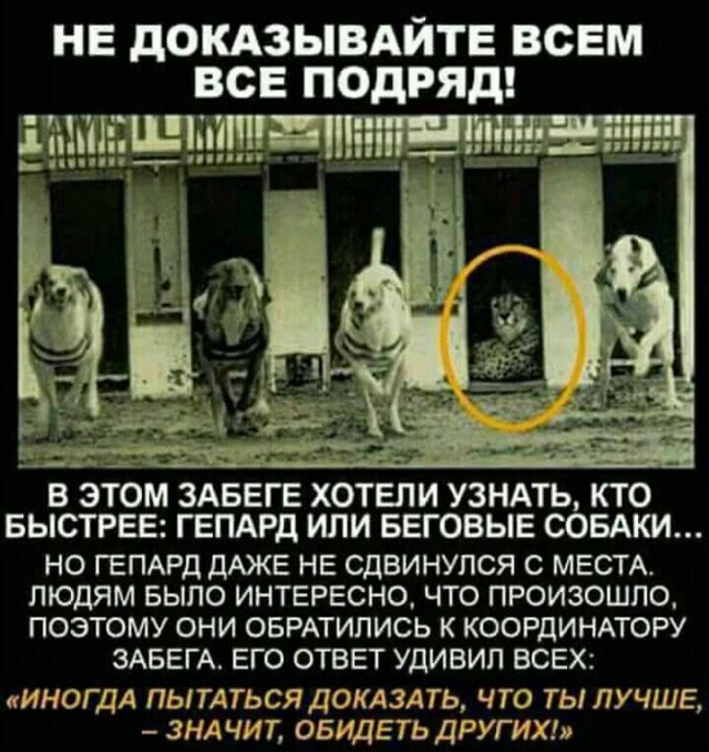 Прикольные и просто красивые картинки 08.05.2025