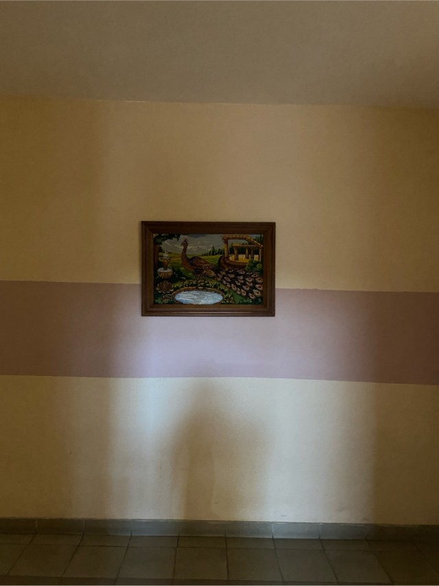 Проект "Голые стены"