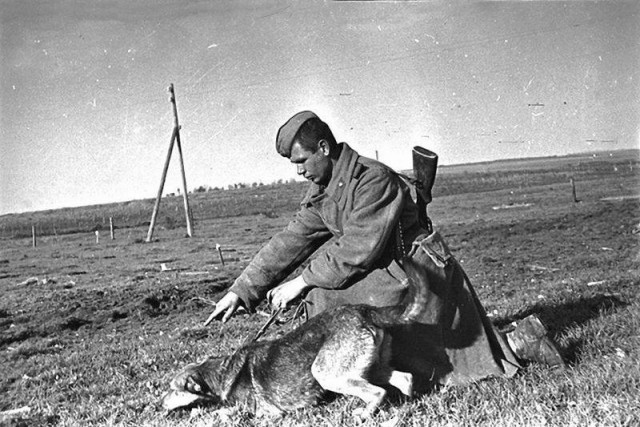 Великая Отечественная в фотографиях-9