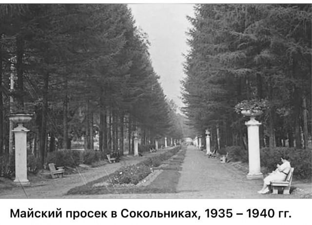 Москва и москвичи. Довоенные фото. 24.08.25