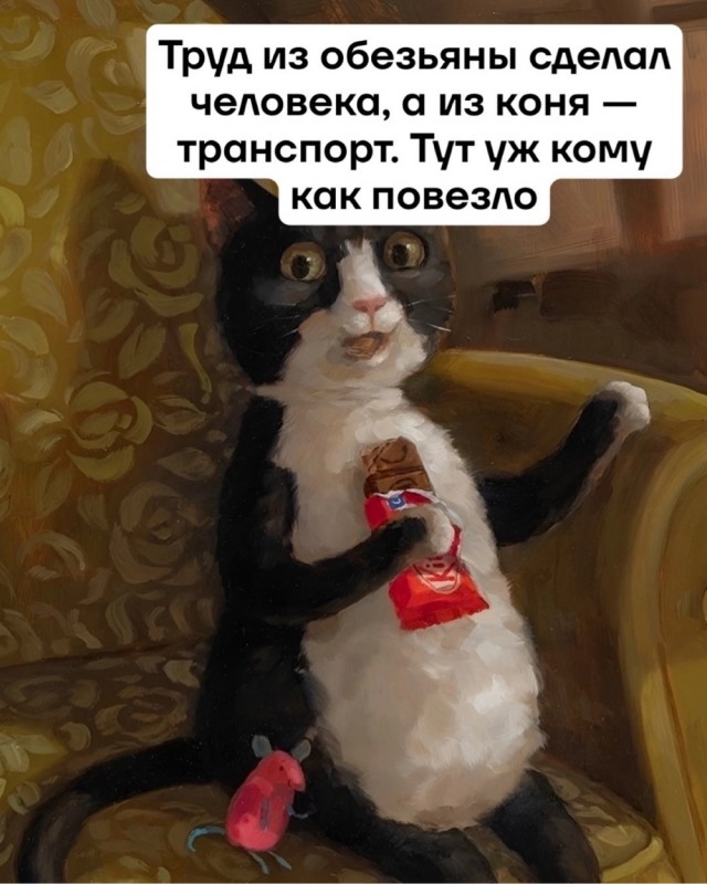 Картинки для деградации 47 (разной степени свежести)