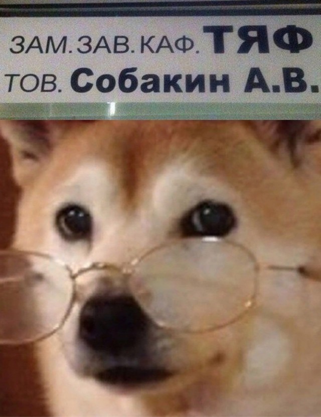 Пятничные картинки