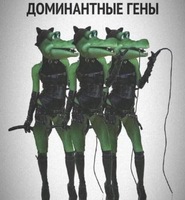 Среда обитания 0.1