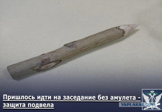 Омичка пришла в суд с осиновым колом