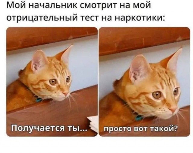 Так себе картинки 13.12.25