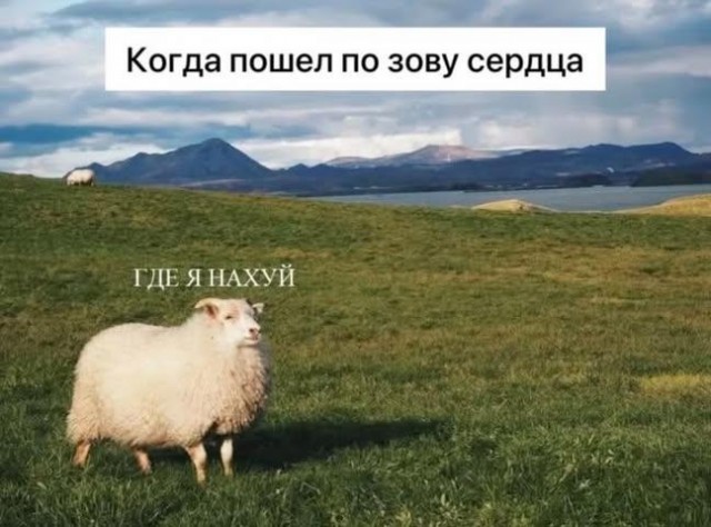 Картиночки, баянчики 23 декабря