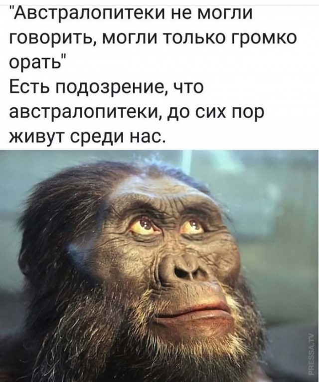 Веселые картинки в понедельник (12.01)