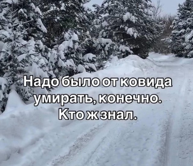 Картинки для деградации 166 (разной степени свежести)