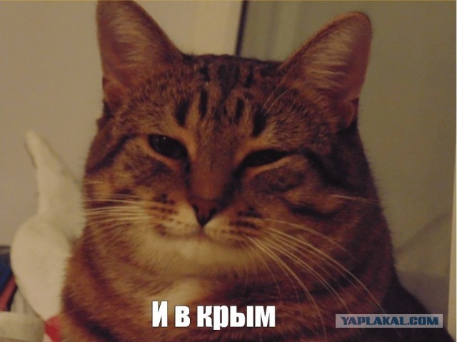 Минтранс объявил о снятии ограничений на полеты на юг России