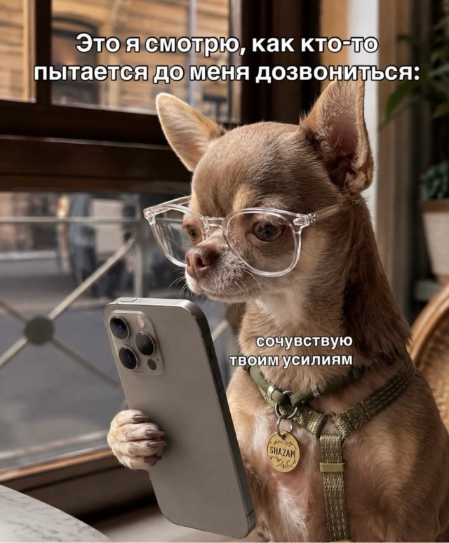 Веселое настроение в картинках 13.08.26