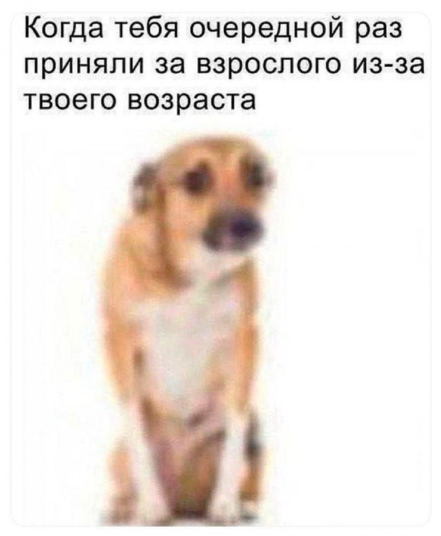 62 годика!