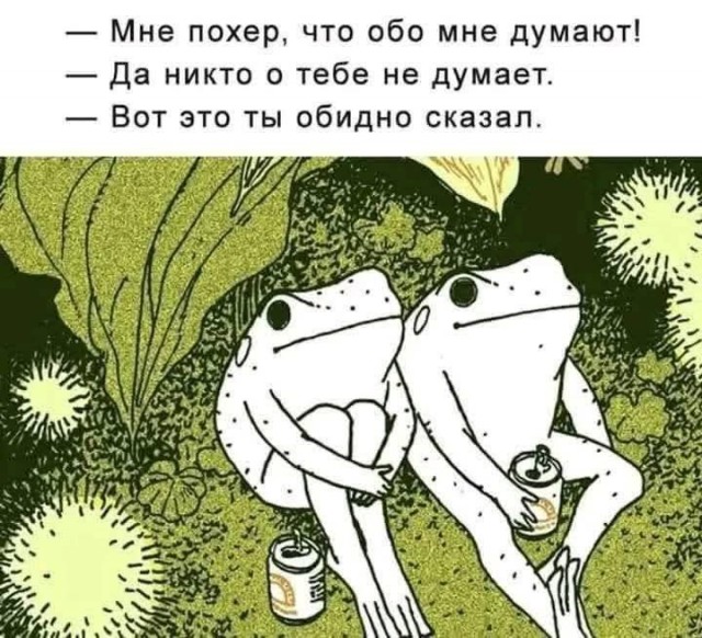 Аккордеоны