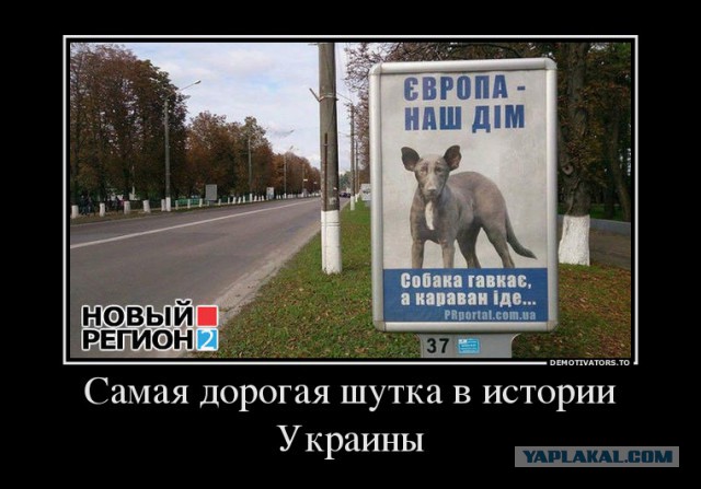 Маразмы месяца