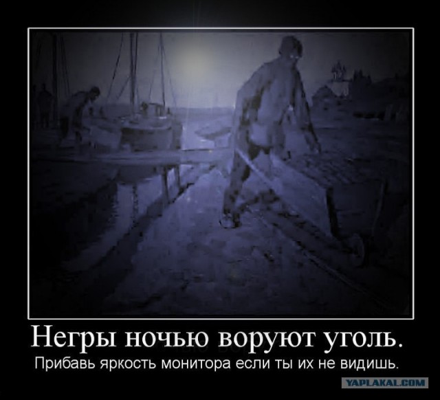 Черный кот смотрит на черный квадрат Малевича