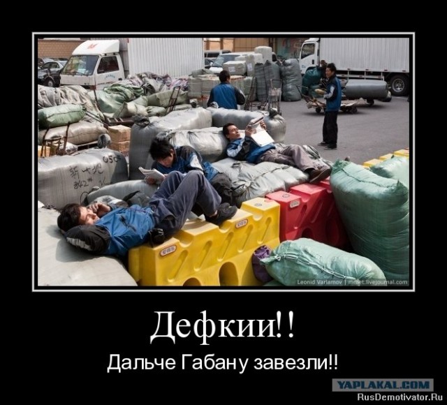 Дольче Габбана китайского разлива