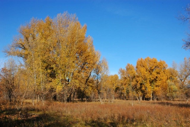Деревенская Америка