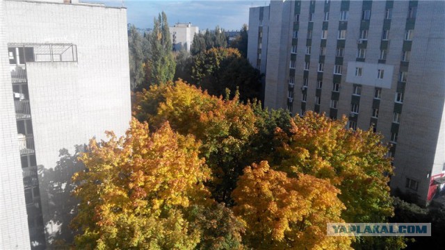 А что у Вас сейчас?