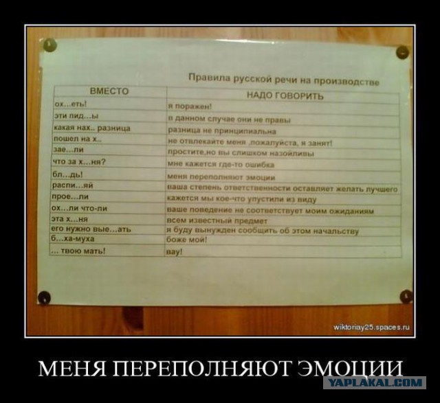 Не знаю, как назвать. Из соцсетей
