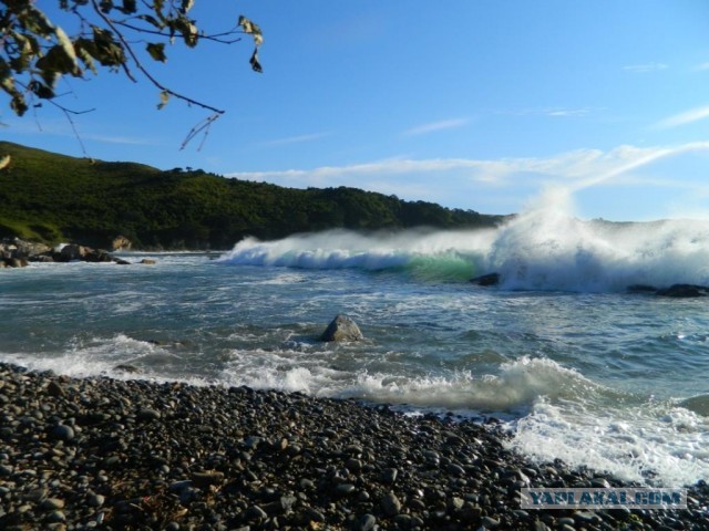 Бухта Теляковского