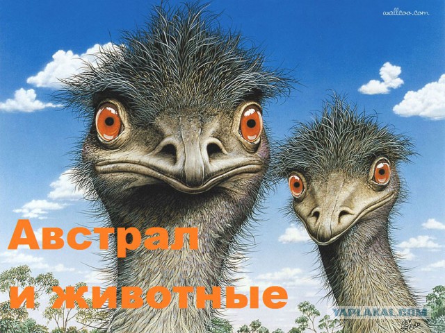 Что от нас скрывают?