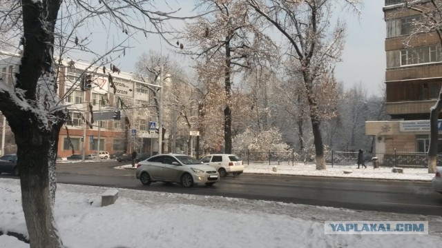 Деревенская Америка