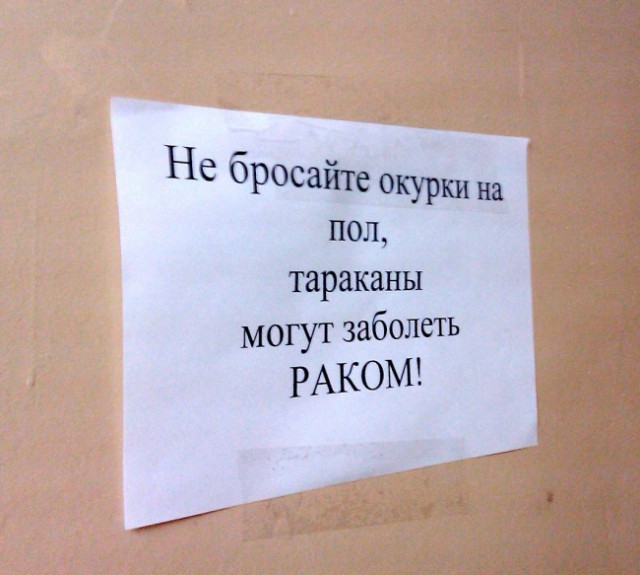 19 фотографий о том, как здорово живется в общаге