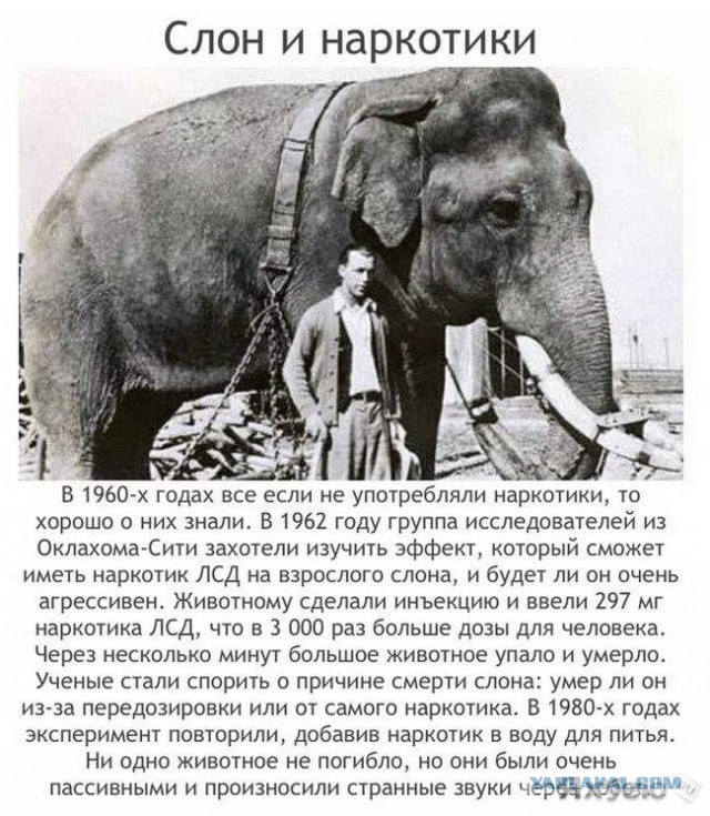 Самые аморальные эксперименты в истории