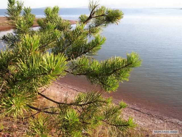 Золотая осень