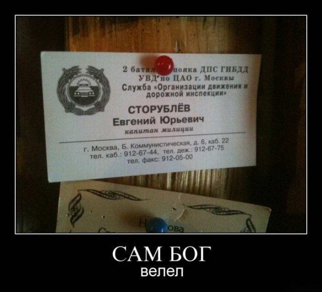 Прикольные картинки и демотиваторы