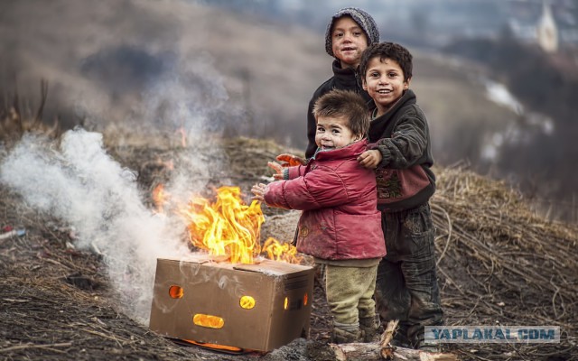 Этот ВЗГЛЯД!