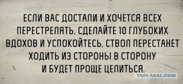 Прикольные картинки, интересные цитаты и мысли