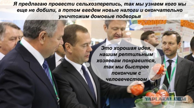 Сельхозперепись в России