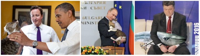 Юмор не для всех