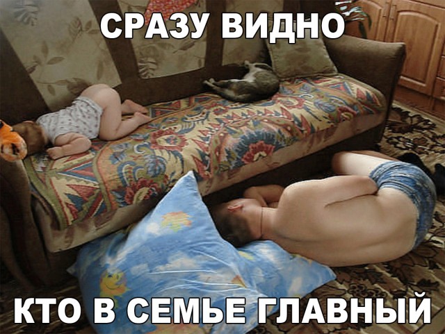 Подборка интересных и веселых фото
