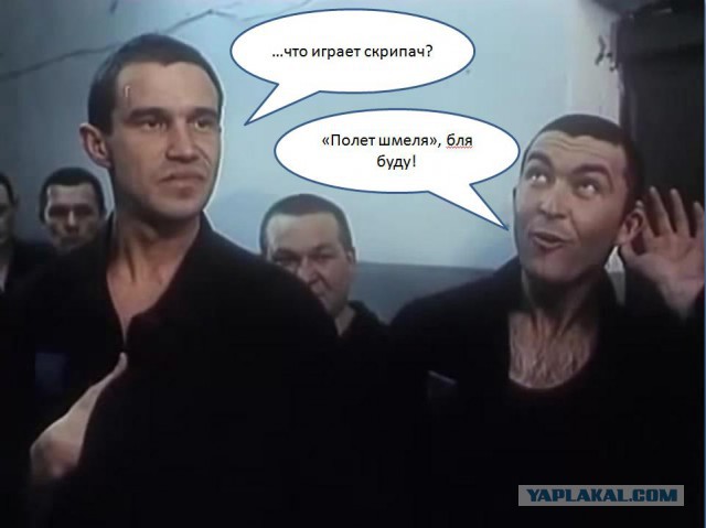 Полиция задержала скрипача прямо на репетиции за участие в митинге