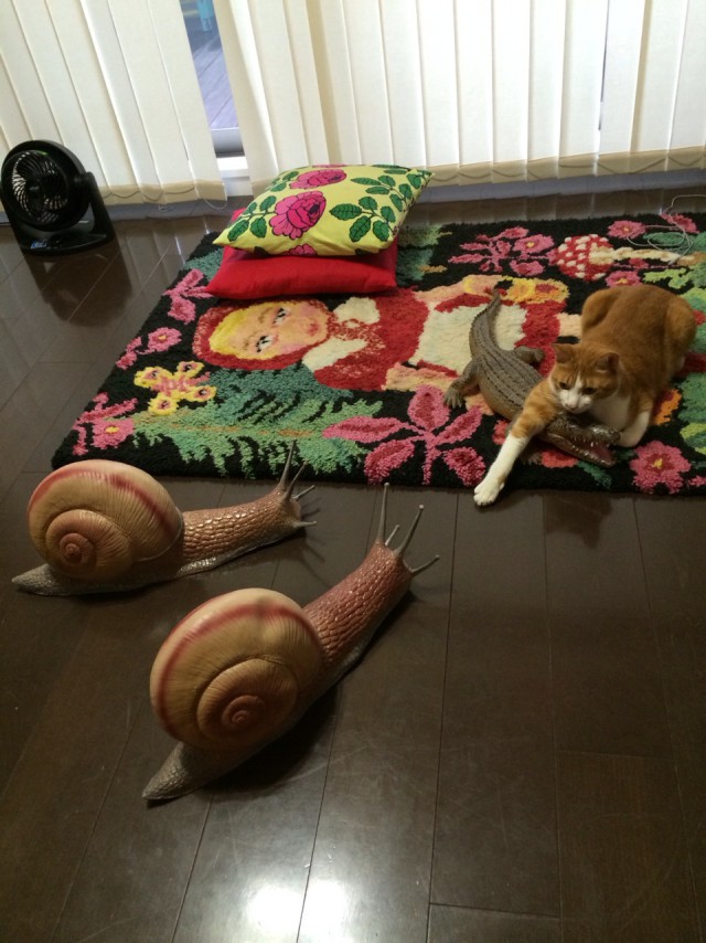 Коты и Кошки