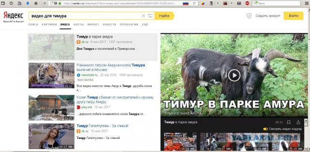 Яндекс запускает новый поиск, который поможет победить Google