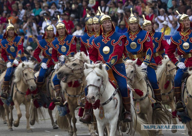 Как проходят сборы студентов военных кафедр в Монголии