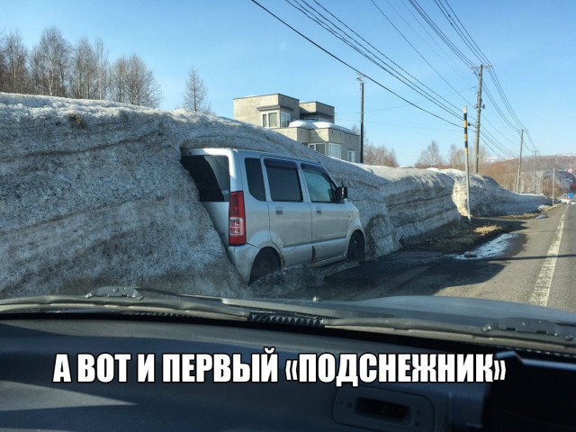 Нестандартный юмор