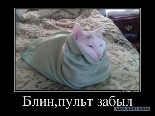 Повезло с попутчицами