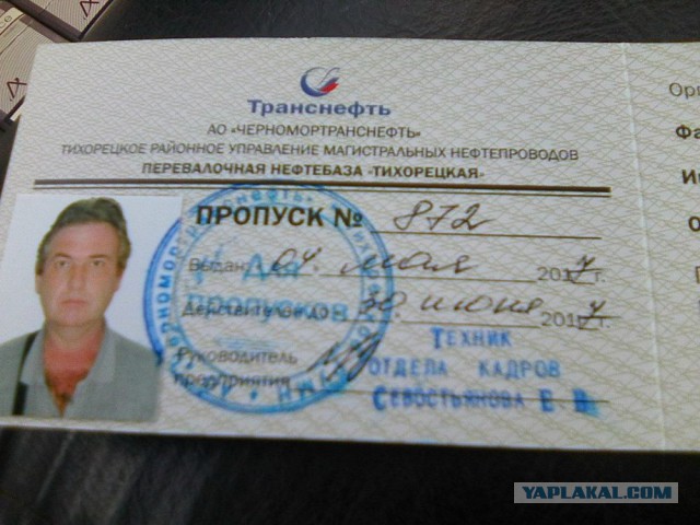 Командировка. В леса