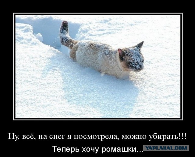 Лето сошло с ума. Полюса явно меняются