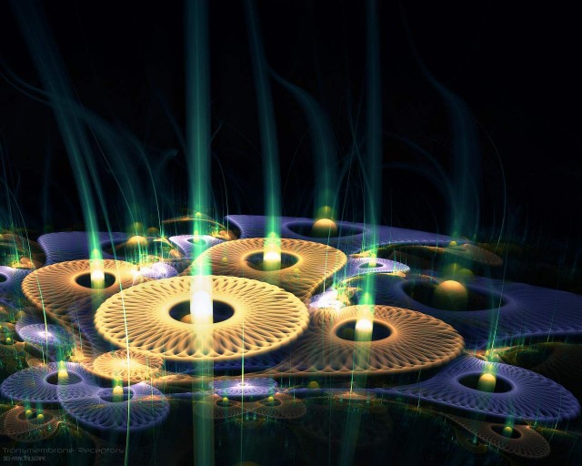 3d Fractal Art